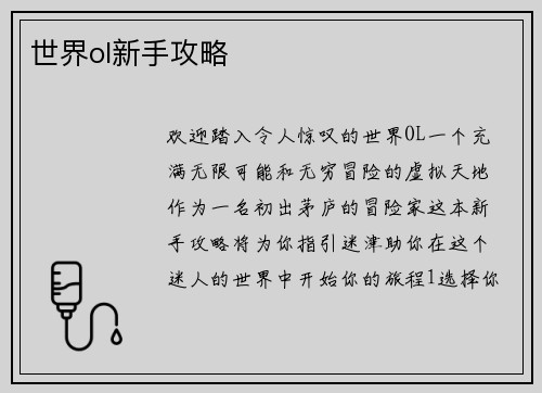 世界ol新手攻略